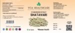 Standardized Shatavari Extract - Image 2