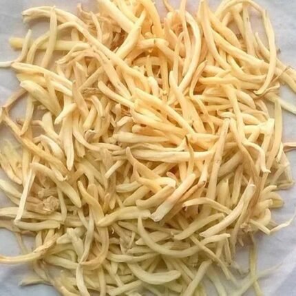 Safed Musli (Chlorophytum Borivilianum) Extract